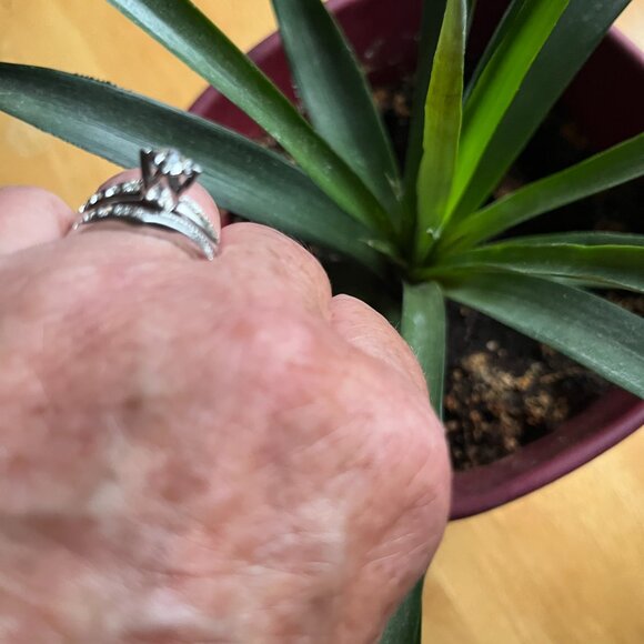 UNCAS Sterling Silver Cubic Zirconia Wedding Ring and Jacket Set Size 8 - Picture 3 of 9